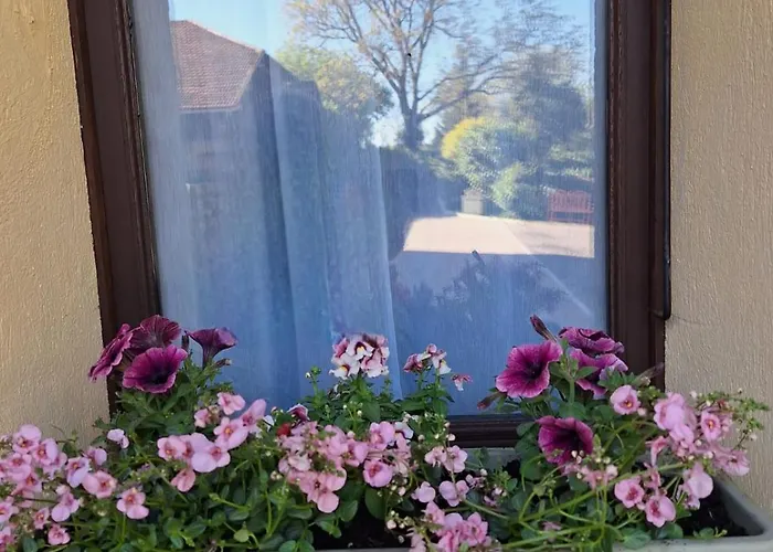 Le Clairat Saint-Michel (Gers)